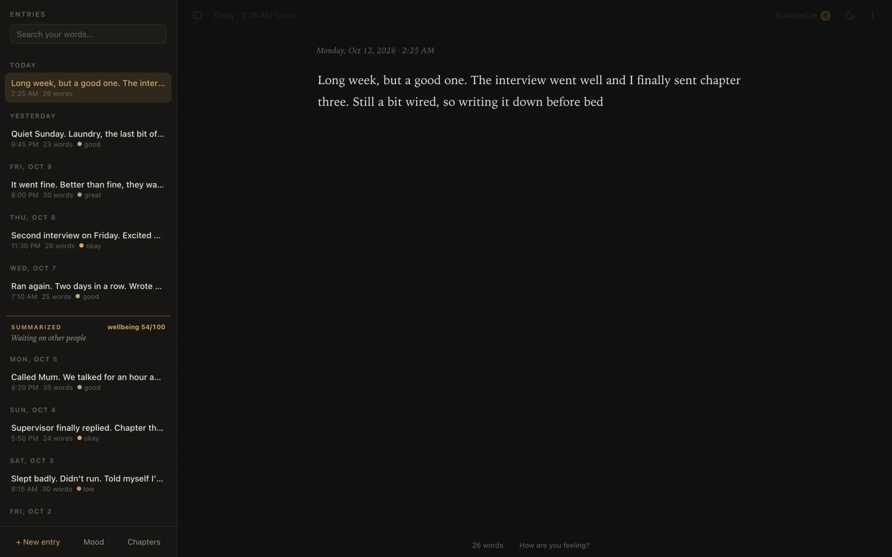 A place to rant: entries grouped by day in a sidebar, a summarised chapter titled ‘Waiting on other people’, and a half-written entry in a serif typeface on a dark page